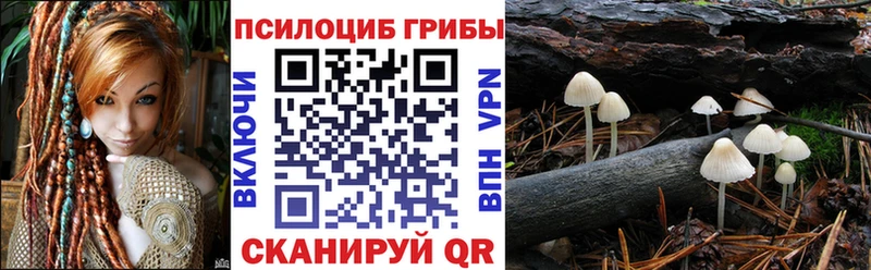 Псилоцибиновые грибы Psilocybe  Купить где  Щигры 